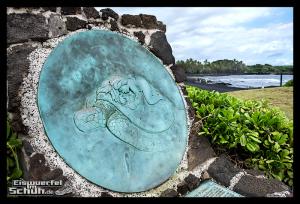 EISWUERFELIMSCHUH - Hawaii Big Island Black Beach Coconuts Turtle (9)