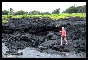 EISWUERFELIMSCHUH - Hawaii Big Island Black Beach Coconuts Turtle (49)