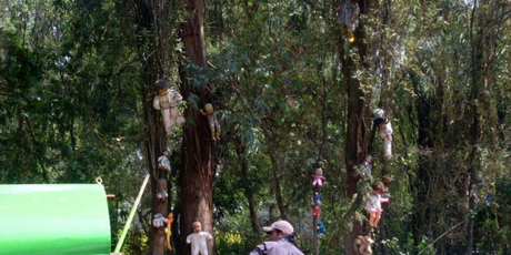 Sehenswuerdigkeiten Mexiko Puppeninsel