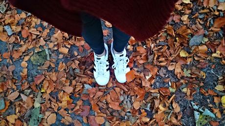 weekreview, autumn, fall, leaves, autumntime, blog, josie´s little wonderland, nature
