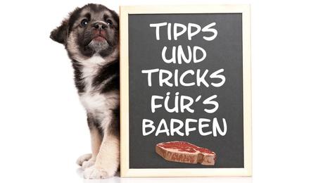 Tipps und Tricks für´s Barfen