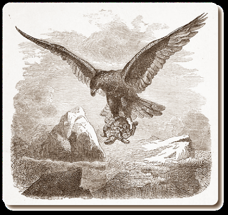 Der Adler und die Schildkröte • Torheit • Fabel von Aesop