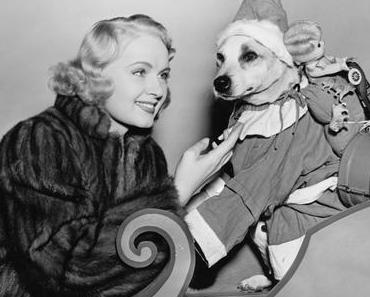 Erbstück Pelz  – Darf ich das?