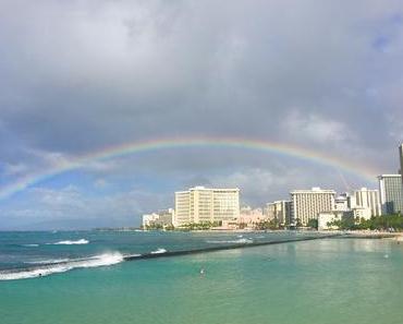 Zurück auf meiner Lieblingsinsel Oahu