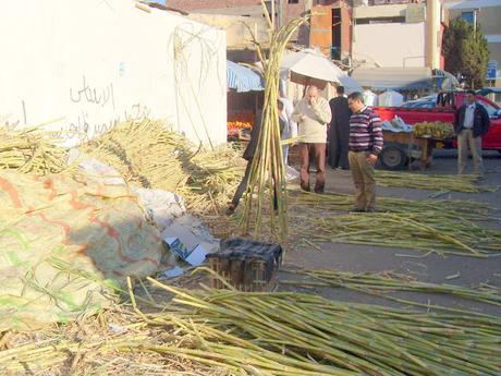 Frisches Zuckerrohr auf einem Makt in Ägypten