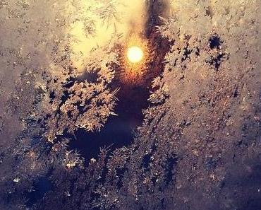 wallpaper-1689754
