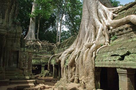 Siem Reap, das Tor zur Angkor Tempelanlage