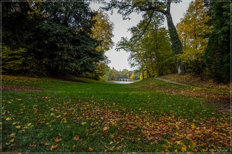 Herbst im Park Schönbusch | Folge 1 (3)