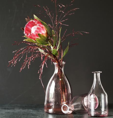 Blog + Fotografie by it's me! - Protea in einer rosa Glasvase