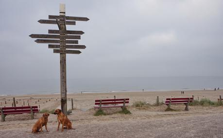 Texel De Koog Strand 1