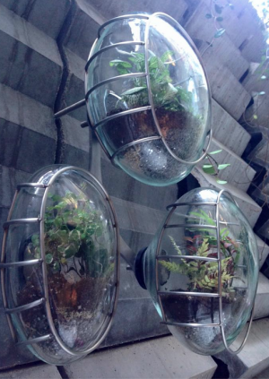 Fem Güçlütürk's Terrarium Design macht neugierig. Die Glaskugeln sind liebevoll bepflanzt. Dank der aufwendigen Konstruktion müssen die Pflanzen nur einmal im Monat gegossen werden. Das Glas lässt sich öffnen und somit auch von innen jederzeit reinigen.