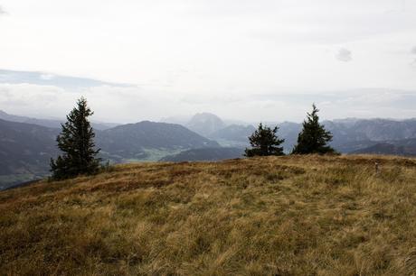 Bergtour # 18 - Dürrenschöberl