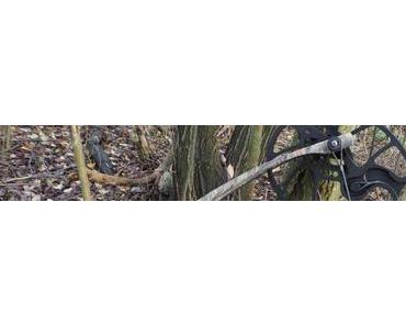 Die dunkle Seite der Macht…