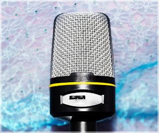 Tonor Profi 3,5mm Microphone Kondensator-Mikroppon im Test