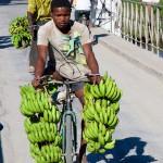bananen-Fahrrad-Madagaskar