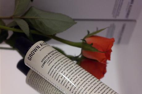 Doubox Dezember 2015 Doubox Dezember 2015