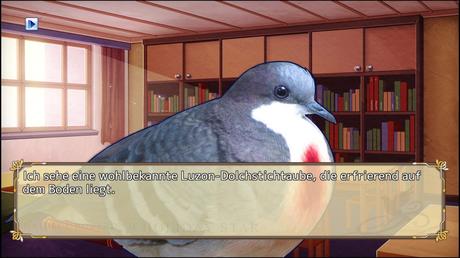 Das Spiel bringt einem viel über Vögel bei. Zum Beispiel welche Arten gerne Mangas zeichnen.