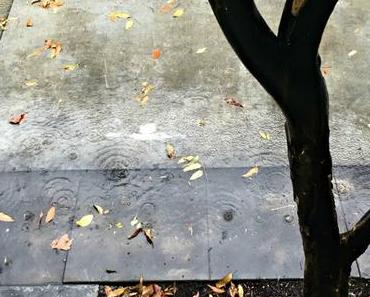 Der fragende Adventskalender: Tag 10, Tag 11, Tag 12