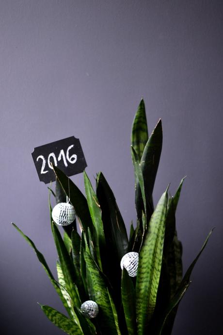 Urban Jungle Bloggers: Planty Wishes for 2016