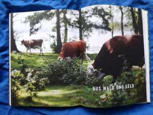 Rezension: Meine grüne Speisekammer