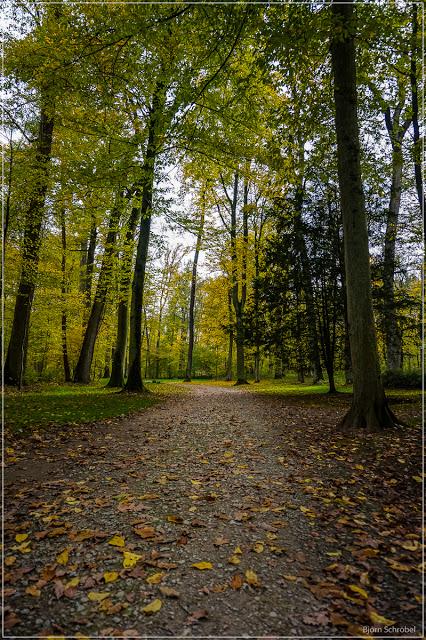 Herbst im Park Schönbusch | Folge 3 (3)