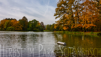 Herbst im Park Schönbusch | Folge 3 (3)