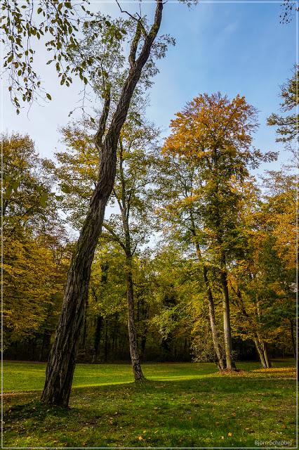 Herbst im Park Schönbusch | Folge 3 (3)