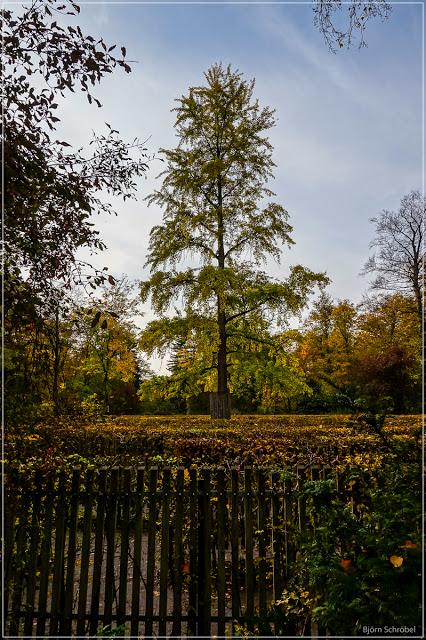 Herbst im Park Schönbusch | Folge 3 (3)