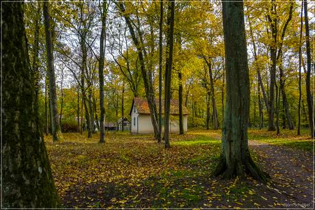 Herbst im Park Schönbusch | Folge 3 (3)