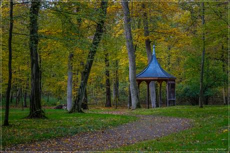 Herbst im Park Schönbusch | Folge 3 (3)