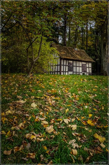 Herbst im Park Schönbusch | Folge 3 (3)