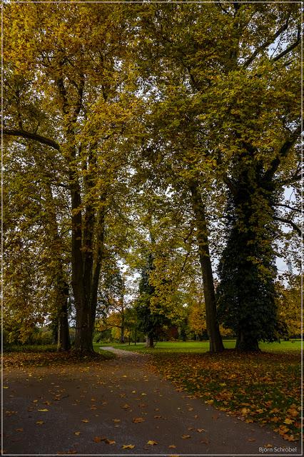 Herbst im Park Schönbusch | Folge 3 (3)