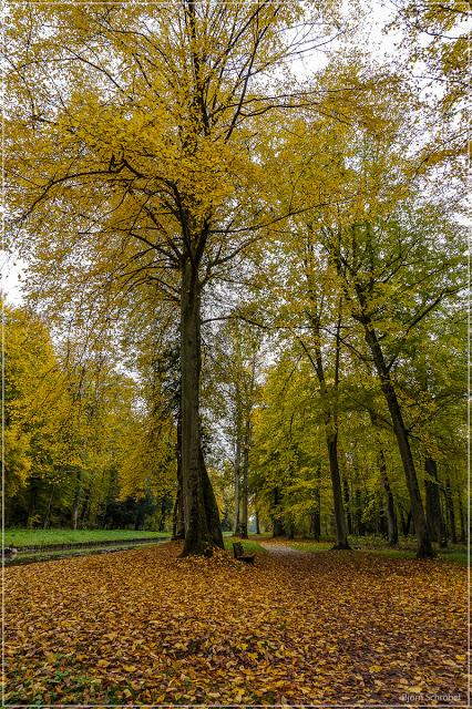 Herbst im Park Schönbusch | Folge 3 (3)