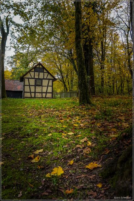 Herbst im Park Schönbusch | Folge 3 (3)