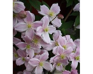 Familienkrankheit Alkoholismus - Die vergessenen Kinder