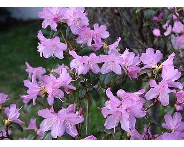 Das verschenkte Geld