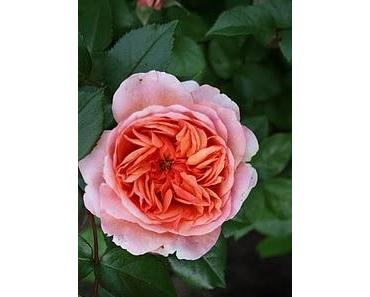 In Jedem von Euch steckt etwas ganz Besonderes!