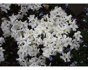 Wechsel doch einmal Deine Perspektive!