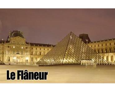 Le Flaneur – Paris in 2000 Bildern
