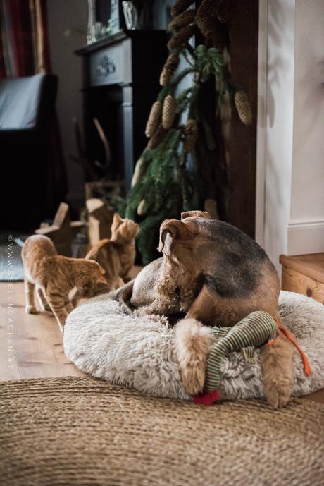 24 Tage im Advent: 21. Dezember