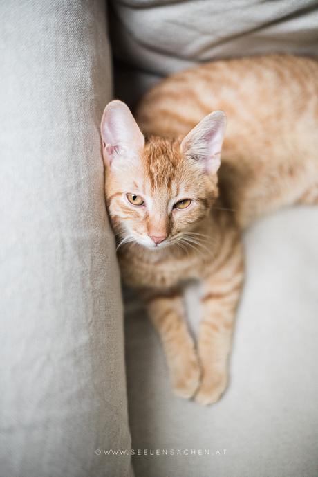 24 Tage im Advent: 21. Dezember