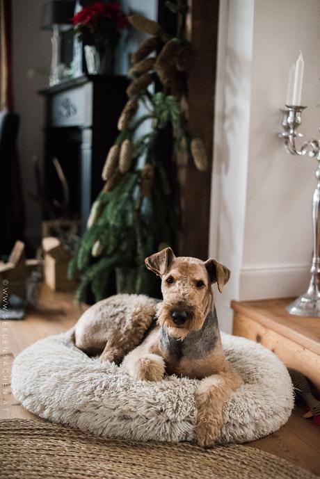 24 Tage im Advent: 21. Dezember