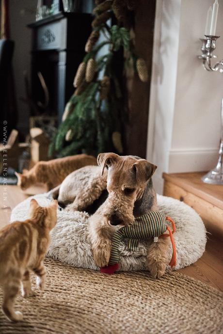 24 Tage im Advent: 21. Dezember