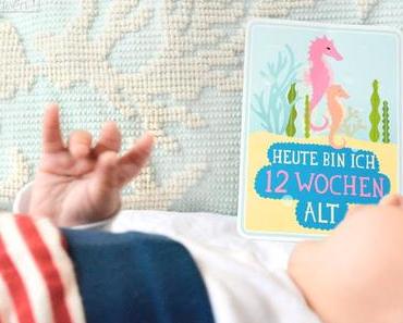 12 Wochen Babyglück - Milestone Cards