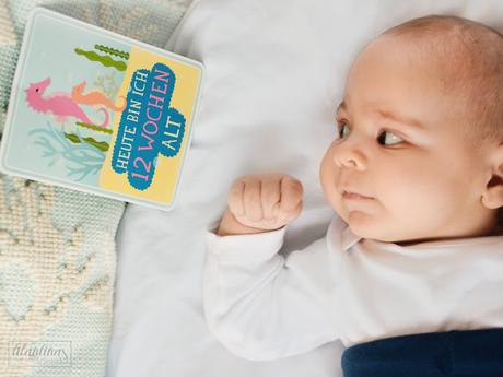 12 Wochen Babyglück - Milestone Cards