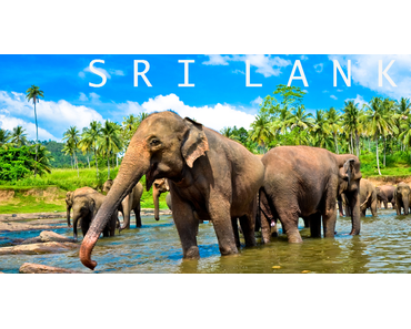 Ich bin privilegiert – dankbar privilegiert