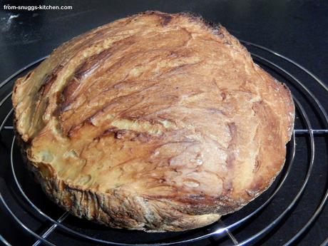 Pleiten, Pech & Pannen Pleiten, Pech & Pannen