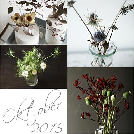Blog + Fotografie by it's me! - Collage Friday Flowerday - Oktober 2015