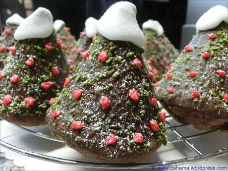 comp_CR_CIMG4066_Tannenbäume