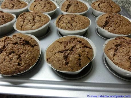 comp_CR_CIMG4022_Tannenbäume